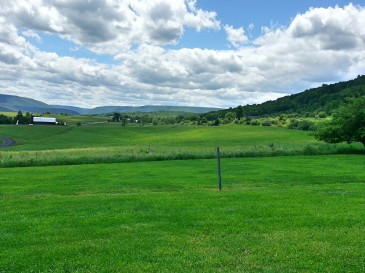 View from on of the vineyards associated with Nimble Hill Vineyard & Winery