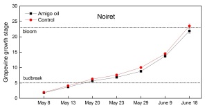 Figure 5. Growth stage of control and oil-treated Noiret vines.