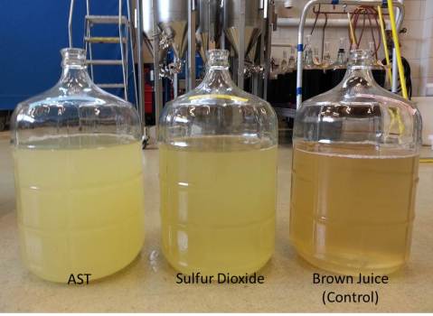 Pre-Fermentation Juice Treatments in Vidal Blanc. All treatments treated with pectinase and 24-hour settling time in cold storage. Image shown after racking.