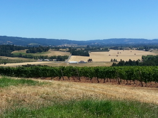 View of Willamette Valley from Penner-Ash Vineyards