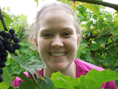 Figure 11: Graduate student, Laura Homich, enjoys time in the Noiret vineyard for her research project that focuses on the effect of canopy management practices on rotundone (black pepper flavor) development in Noiret grapes and wine. 