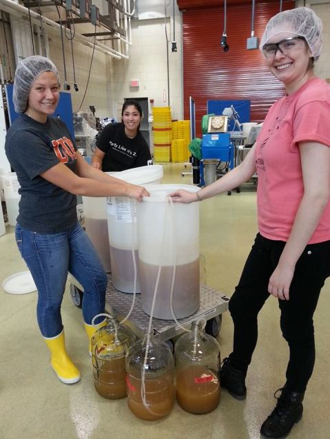 Figure 6: Racking techniques without a pump. [From left to right] Liv, Maria, and Marielle rack Riesling juice into replicate fermentation carboys.  Photo by: Denise M. Gardner