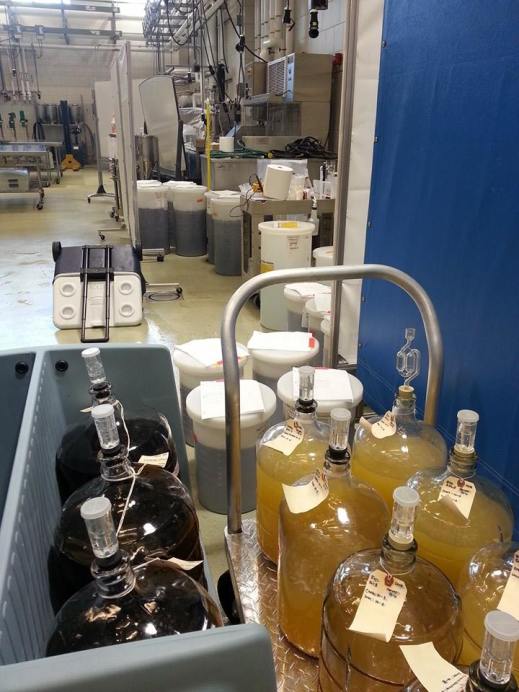 Figure 13: Another full year of research winemaking at Penn State – vintage 2015.  Photo by: Denise M. Gardner