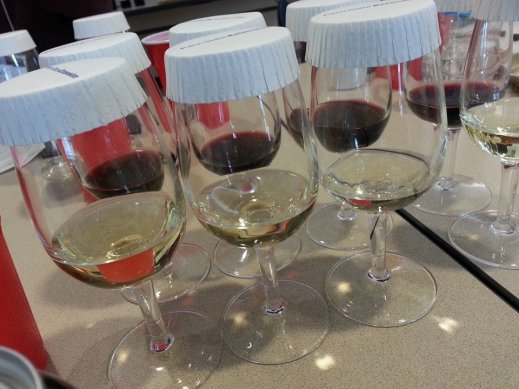Wine tasting and sensory evaluation. Photo from: Denise Gardner